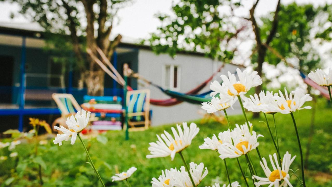 Bebo Babu Guest House Kutaisi Luaran gambar